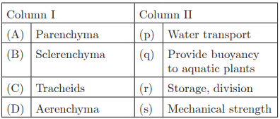 Class 9 Science Chapter 6 Practice Question Answers - Tissues
