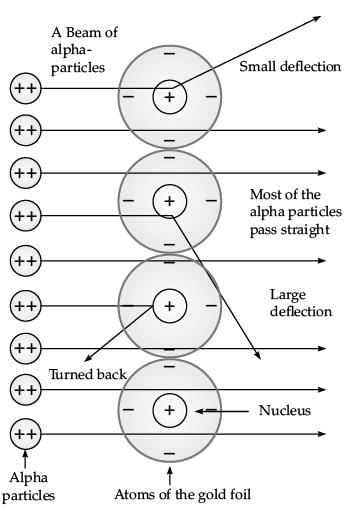 Class 9 Science: Sample Question Paper- 2 (With Solutions)