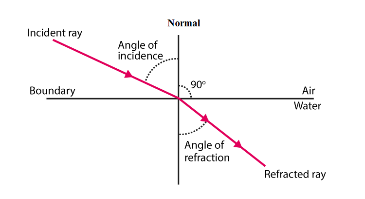 NCERT Exemplar: Light - Reflection & Refraction | Science Class 10