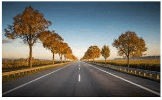 Class 10 Maths Chapter 4 Case Based Questions - Quadratic Equations
