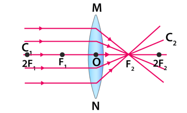 NCERT Exemplar: Light - Reflection & Refraction | Science Class 10