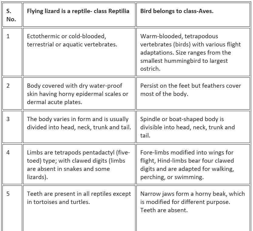NCERT Exemplar: Diversity in Living Organisms - Class 9