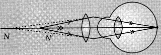 Class 10 Science: CBSE Sample Question Paper (2019-20) - 3 | Science Class 10