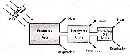 Class 10 Science - Previous Year Questions - Our Environment