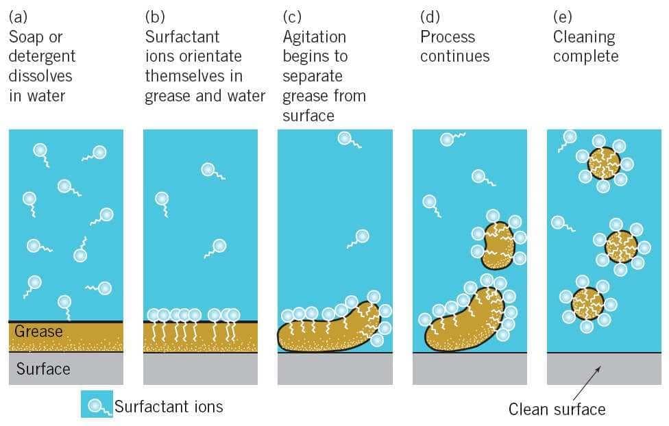 Cleansing Action of Soaps & Detergents | Science Class 10