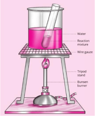 NCERT Exemplar: Carbon & its Compounds | Science Class 10