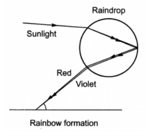 Class 10 Science Chapter 10 Question Answers - The Human Eye and the Colourful World