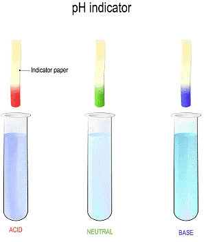 Olympiad Notes: Acids, Bases and Salts | Olympiad Preparation for Class 10