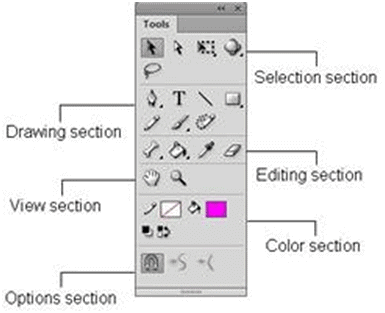 Chapter notes: Flash CS6 | National Cyber Olympiad Class 8