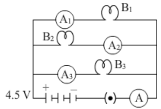 NCERT Exemplar: Electricity | Science Class 10