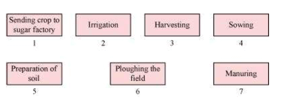 NCERT Solutions Chapter 1 : Crop Production and Management, Class 8th, Science