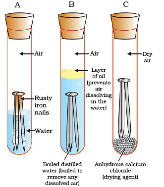 Diagram Based Questions: Metals and Non-metals | Science Class 10