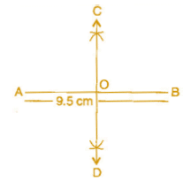 NCERT Solutions for Class 6 Maths - (Ex: 14.4 to 14.6): Practical Geometry