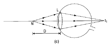 Class 10 Science Chapter 10 Previous Year Questions - The Human Eye and the Colourful World