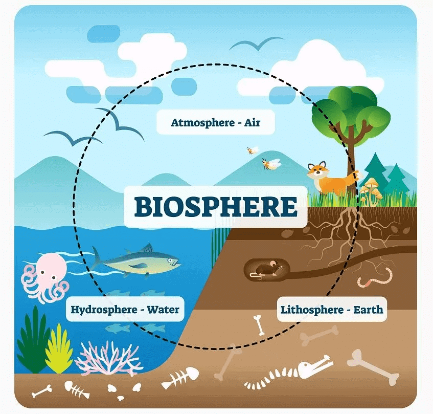 Natural Resources | Chemistry for Grade 10