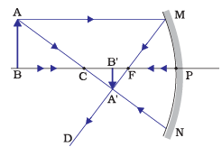 Diagram Based Questions: Light - Reflection and Refraction | Science Class 10