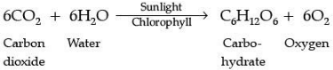 Class 10 Science: CBSE Sample Question Paper (2020-21) - 3 | Science Class 10