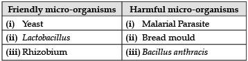 Class 8 Science: Sample Question Paper - 10 | Science Class 8