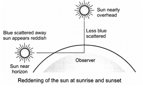 Class 10 Science Chapter 10 Question Answers - The Human Eye and the Colourful World