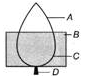 Class 10 Science: CBSE Sample Question Paper- Term I (2019-20) - 3 | Science Class 10