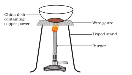 NCERT Based Activity : Chemical Reactions and Equations | Science Class 10