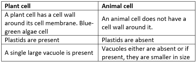 Lakhmir Singh & Manjit Kaur: Cell Structure and Functions- 3 | Lakhmir Singh & Manjit Kaur Solutions: Class 8 Science
