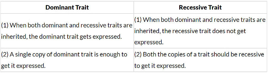 Previous Year Questions 2016