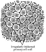 Class 9 Science: Sample Question Paper- 2 (With Solutions)