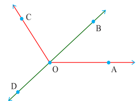 NCERT Solutions for Class 8 Maths Chapter 5 - Understanding Elementary Shapes (Exercise 5.4, 5.5 and 5.6)