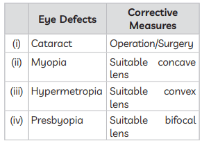Previous Year Questions 2019