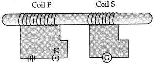 Class 10 Science: CBSE Sample Question Paper (2019-20) - 3 | Science Class 10