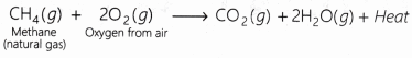 Viva Voce: Types of Reactions - Class 10