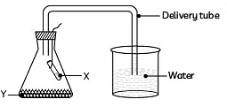Class 10 Science Chapter 5 Previous Year Questions - Life Processes