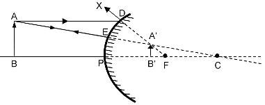 Light | Olympiad Preparation for Class 10
