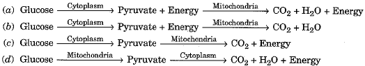 Class 10 Science: CBSE Sample Question Paper (2019-20) - 7 | Science Class 10