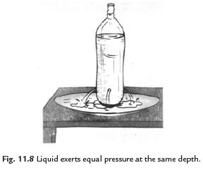 Short and Long Answer Questions: Pressure, Winds, Storms, and Cyclones | Science Curiosity Class 8 -  New NCERT