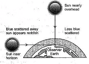 Class 10 Science Chapter 10 Previous Year Questions - The Human Eye and the Colourful World