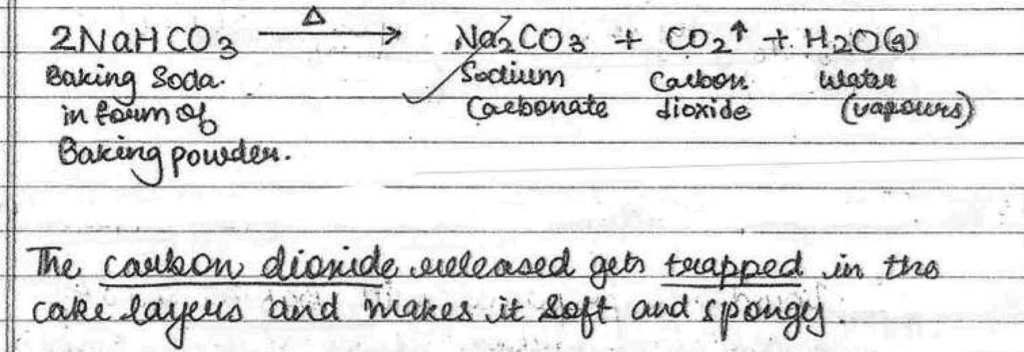 Science Topper`s Answer Sheet - 2019, Class 10
