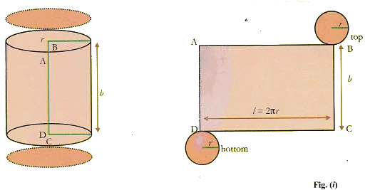 Lab Manual: Surface Area of a Cylinder - Class 10