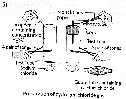 Class 10 Science - Previous Year Questions - Acids Bases and Salts