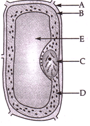 Class 8 Science: Sample Question Paper - 1 | Science Class 8