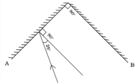 NCERT Exemplar Solutions: Light | Science Class 8