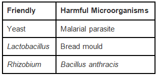 NCERT Exemplar Solutions: Microorganisms : Friend or Foe | Science Class 8