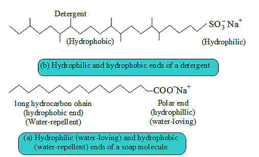 Class 10 Science Chapter 4 Previous Year Questions - Carbon and its compounds