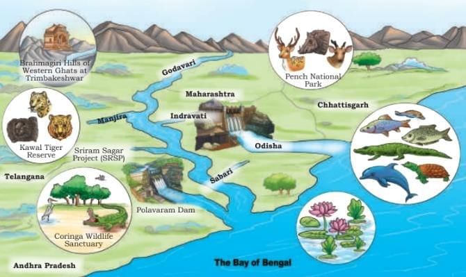 Journey of a River Chapter Notes | Our Wondrous World  Class 5 - New NCERT