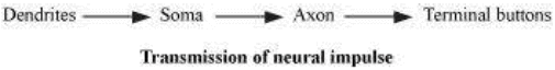 NCERT Solutions for Class 11 Psychology - The Bases of Human Behaviour
