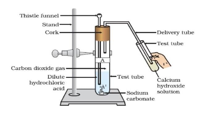 Cheat Sheet: Acids, Bases and Salts | Science Class 10