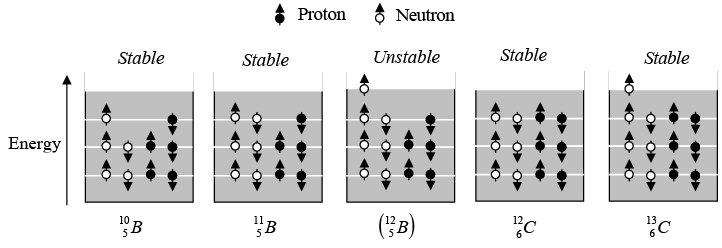 Simplified energy level diagrams of some boron and carbon isotopes.