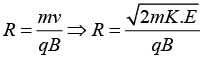 Motion of Charged Particle in Uniform Electric & Magnetic Field: Assignment | Electricity & Magnetism - Physics