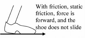 Static friction opposes this motion, so the static force of friction, applied by the ground on you, is directed forward (b).